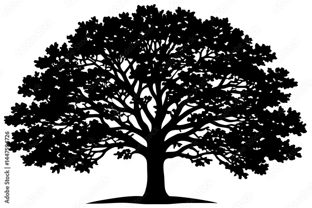 Photos Classic Black Oak Tree Vector