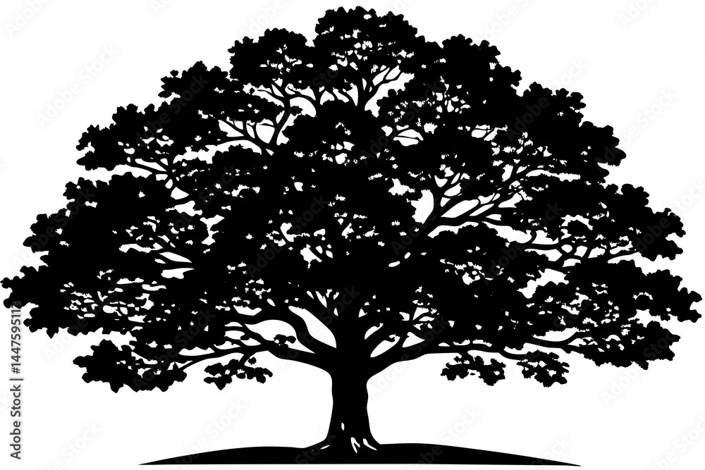 Fototapeta premium Classic Black Oak Tree Vector