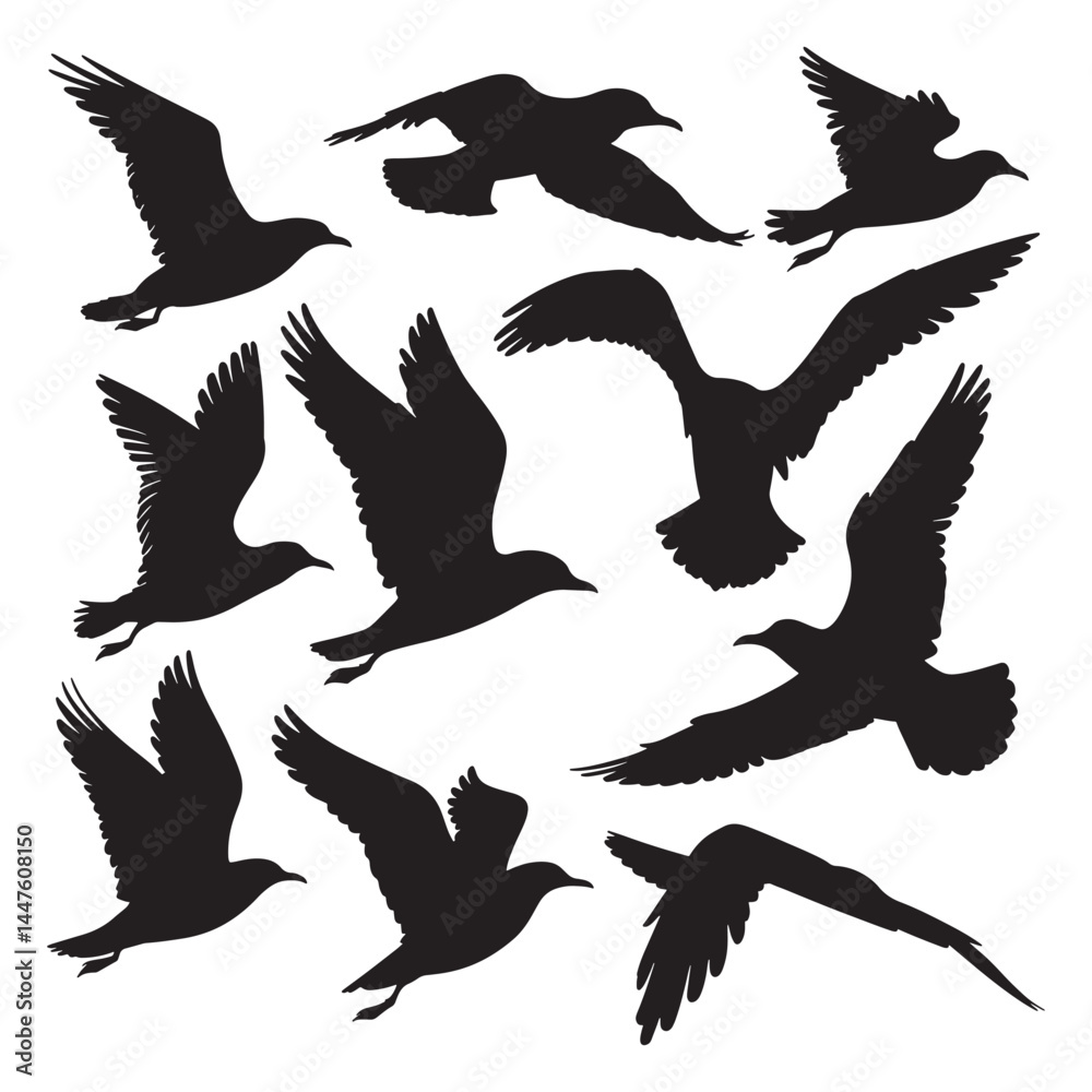 Fototapeta premium Flying birds silhouettes on white background. Vector illustration, 