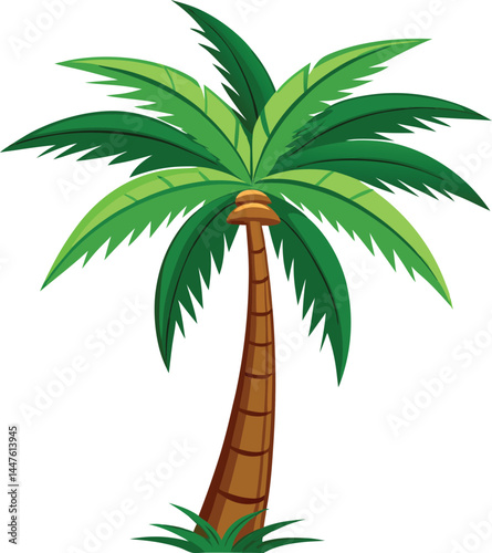 Palm tree Vector 