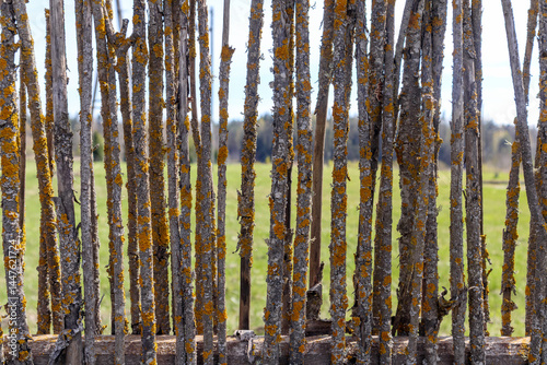 
A fence made of vertical, uneven tree branches with moss and lichen, through which a green field and trees in the background shine.