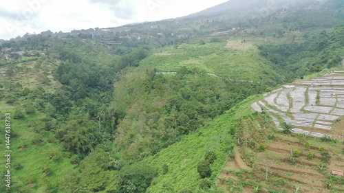 Aerial View of Lush Green Hillside Terraced Farmlands