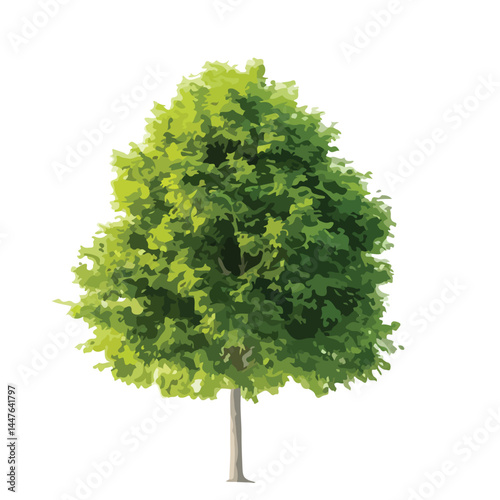 Vector watercolor green tree or forest side view isolated on white background for landscape and architecture drawing,elements for environment or and garden,Shrub for section