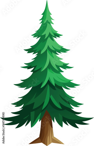 Spruce tree Vector 