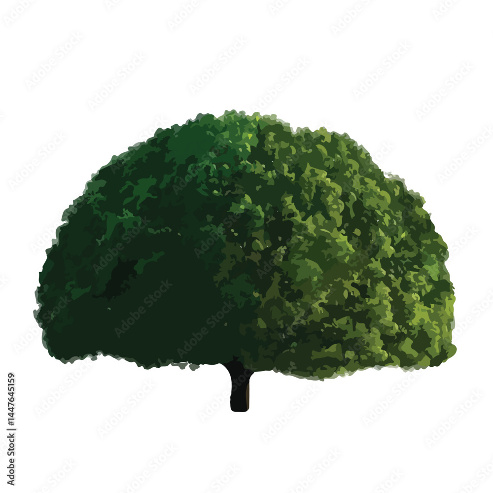 Vector watercolor green tree or forest side view isolated on white background for landscape and architecture drawing,elements for environment or and garden,Shrub for section
