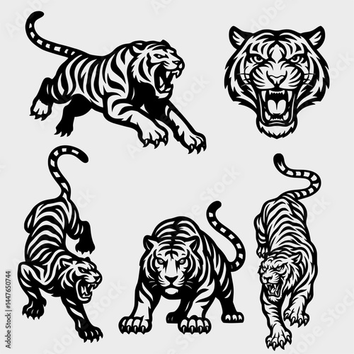 Set of Fierce Black and White Tiger Poses – Roaring, Attacking, and Prowling Vectors