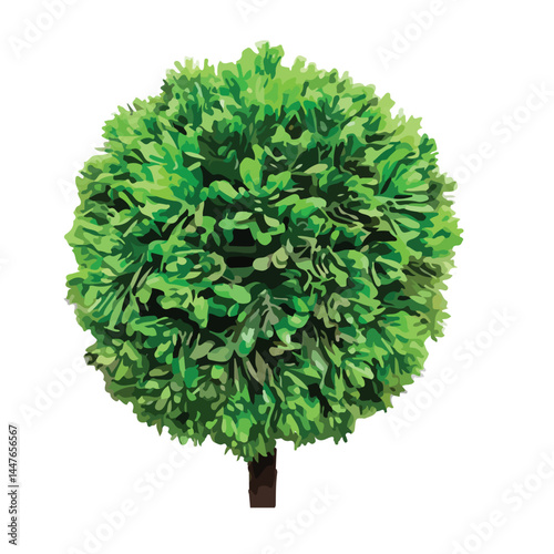 Vector watercolor green tree or forest side view isolated on white background for landscape and architecture drawing,elements for environment or and garden,Shrub for section