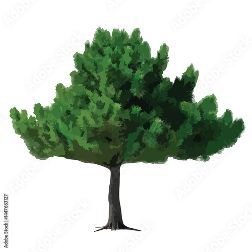 Vector watercolor green tree or forest side view isolated on white background for landscape and architecture drawing,elements for environment or and garden,Shrub for section