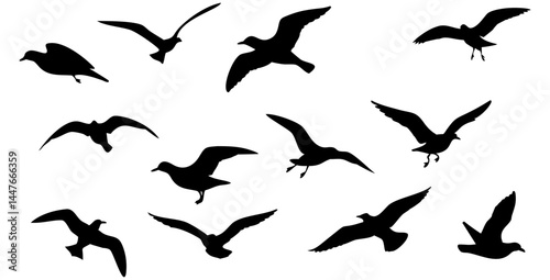 Silhouettes of Flying Birds