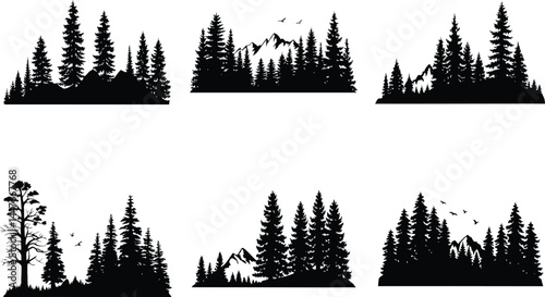 silhouette  forest treelined  pine trees 