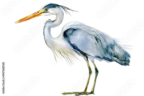 Watercolor heron isolated on transparent white background