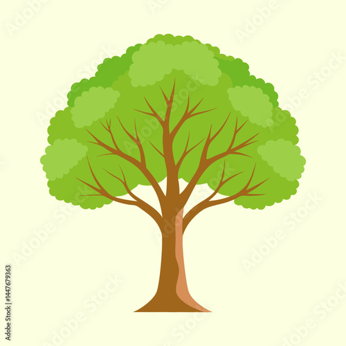 Simple cartoon illustration of a generic broad leafed tree on light background