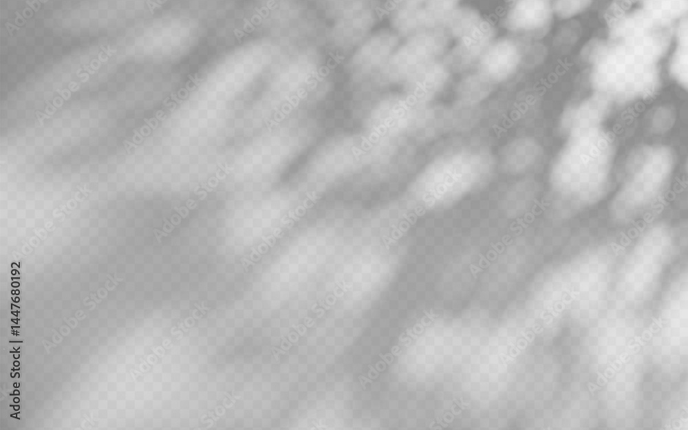 Obraz premium Abstract shadow overlay from foliage on a transparent background.
