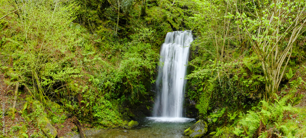 In the forest of Arantza, Navarra, the beautiful Putzubeltz waterfall unfolds among the vegetation, creating a magical corner of nature.