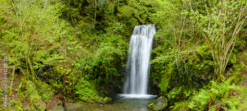 Obraz na płótnie In the forest of Arantza, Navarra, the beautiful Putzubeltz waterfall unfolds among the vegetation, creating a magical corner of nature. w salonie