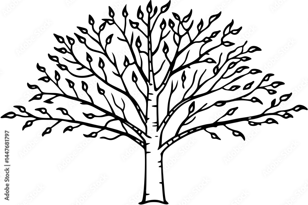Obraz premium Simple and Clean Birch Tree Outline