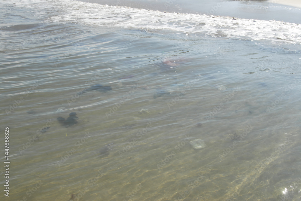 Environmental impact of new year celebrations on bali beach: marine pollution and waste management Environmental impact of new year celebrations on bali beach: marine pollution and waste management