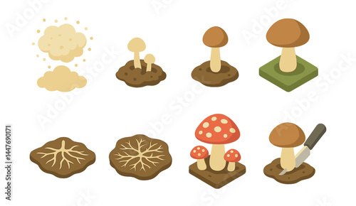 Mushroom growth stages icons set – spores, sprouting, mature, mycelium, harvest