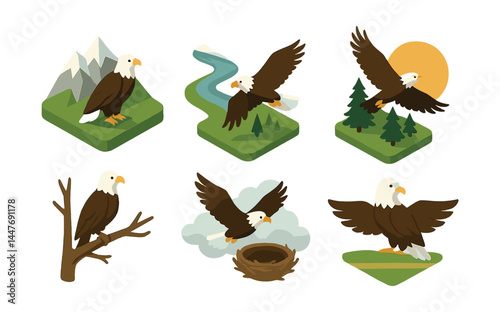 Majestic eagle icons set – soaring, perched, nest, landscape, forest, sunrise