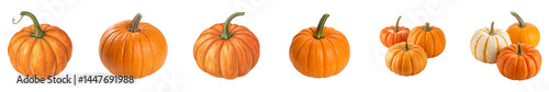 Wallpaper Mural A Vibrant Variety of Pumpkins Arranged on a Clean White Background for Fall transparent background Torontodigital.ca