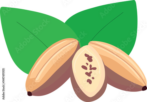 Baobab Fruit