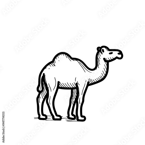 Black and white vector illustration of a camel, perfect for educational or travel themes. Hand-drawn style highlights detail and authenticity in desert wildlife depiction.