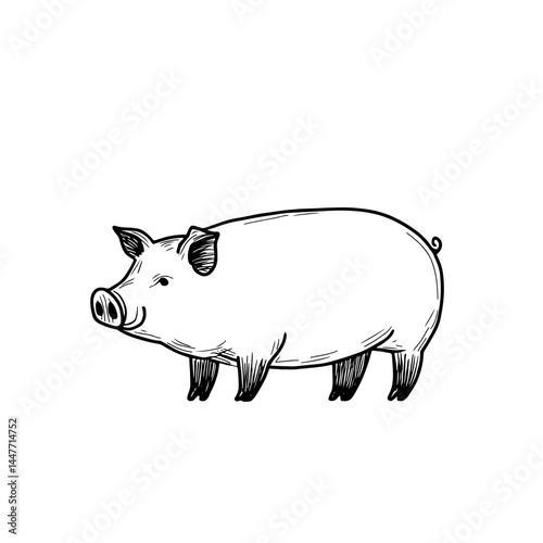 Rustic pig vector illustration, perfect for farm-themed projects, agriculture marketing, and educational materials. Simple, monochrome design ideal for pattern creation.