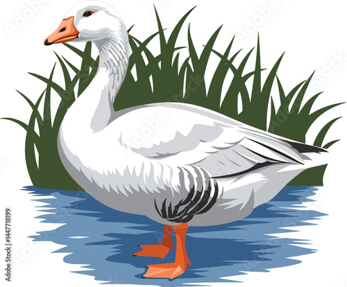 goose on the water