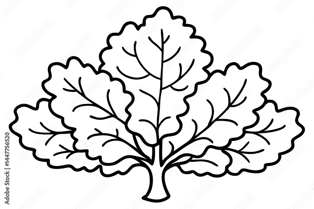 Obraz premium Rustic Oak Tree Outline Illustrations