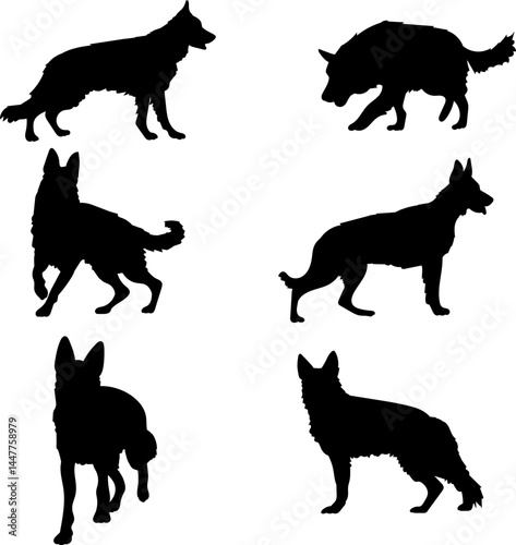 dog german shepherd set black silhouette on white background, vector