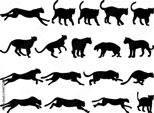 jaguar running black silhouette on , vector