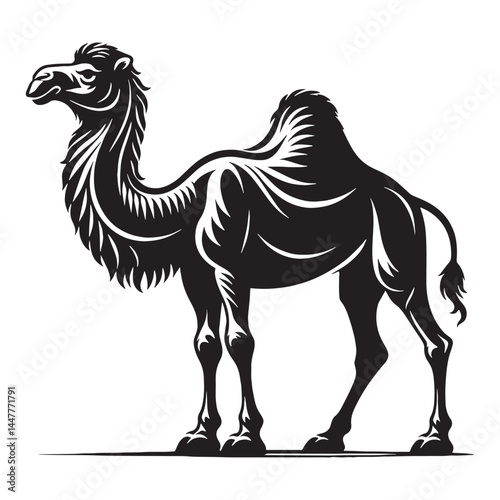 High-definition camel silhouette vector tailored for bold digital visuals – camel silhouette – camel vector – camel illustration – silhouette of camel

