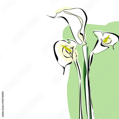 Bouquet of calla lily flowers background. Minimalistic white calla lily flowers. Wedding invitation card