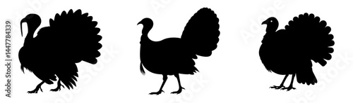 Turkey Silhouette Illustration in Black on White Background