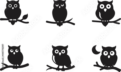 An illustration featuring a black owl face silhouette set against a clean white background showing a detailed owl face with wide eyes and a sharp beak, symbolizing wisdom and perception.