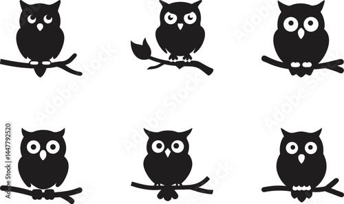 An illustration featuring a black owl face silhouette set against a clean white background showing a detailed owl face with wide eyes and a sharp beak, symbolizing wisdom and perception.