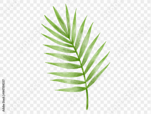 Green palm leaf illustration representing tropical paradise, beach vacations, and summer relaxation with fresh watercolor touch.vector
