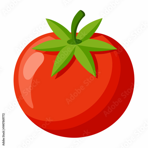tomato vector illustration
