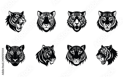 set of tiger face on white background