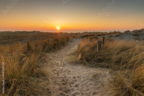 Fototapeta Naklejka Na Ścianę i Meble -  Sandy path through the dunes near Petten leading to the setting sun over the North Sea. This sandy trail, flanked by swaying marram grass in the gentle wind, leads  the North Sea beach.