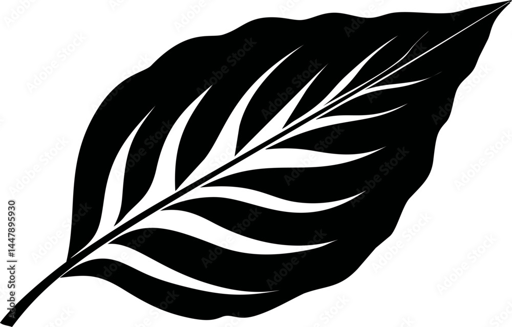 Obraz premium Black and white silhouette of a leaf with intricate patterns, art illustration. Vector illustration