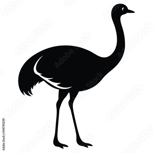Silhouette of an ostrich bird with long neck, standing on white background