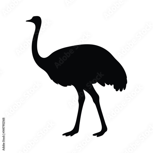 Silhouette of an ostrich bird with long neck, standing on white background