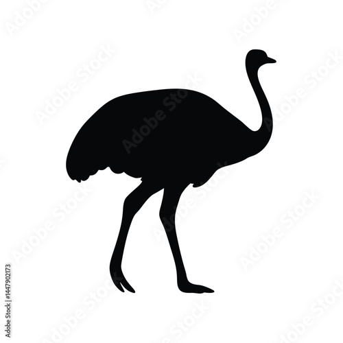 Silhouette of an ostrich bird with long neck, standing on white background