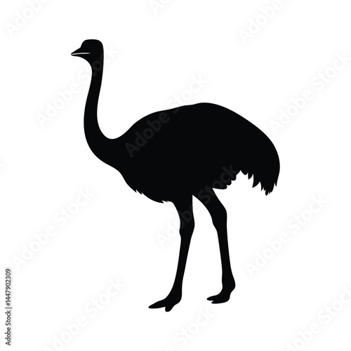 Silhouette of an ostrich bird with long neck, standing on white background