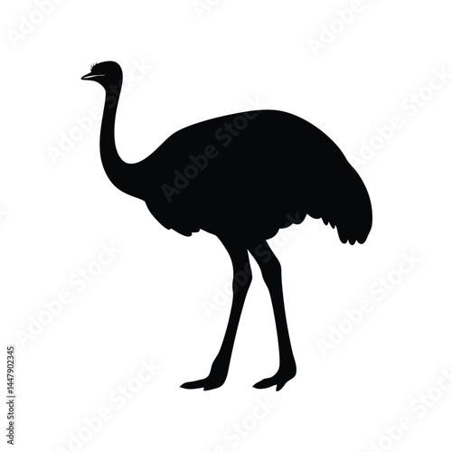 Silhouette of an ostrich bird with long neck, standing on white background
