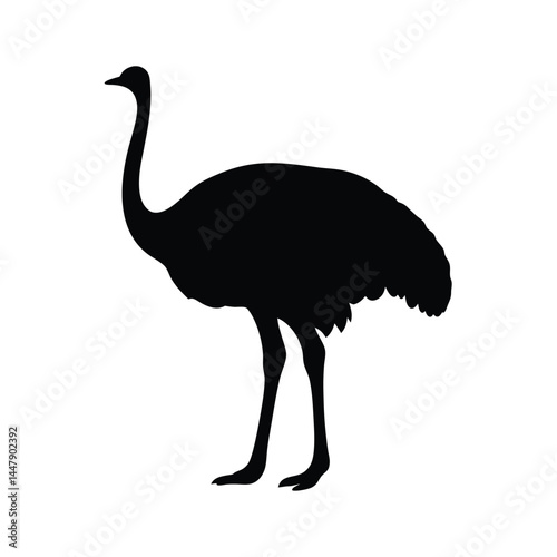 Silhouette of an ostrich bird with long neck, standing on white background