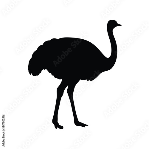 Silhouette of an ostrich bird with long neck, standing on white background