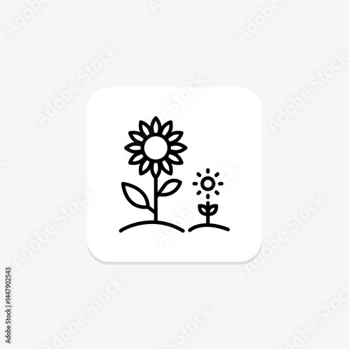 Sunflower Field, vector, pixel perfect, illustrator file