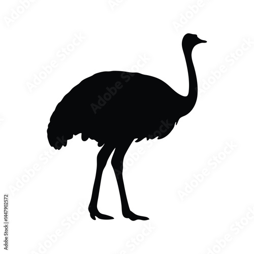 Silhouette of an ostrich bird with long neck, standing on white background